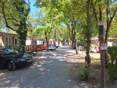 Camping les Rives d'Auzon - Camping Ardèche - Image N°42