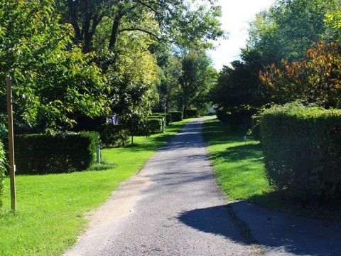 Camping Le Grand Cerf - Camping Drome - Image N°26