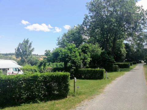 Camping Le Grand Cerf - Camping Drome - Image N°19