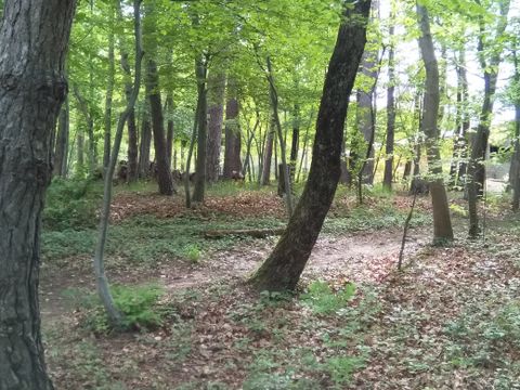 Emplacement - Fougère : avec électricité, Proche Bloc Sanitaire, semi ombragé