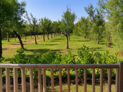 Torre Rinalda Beach Camping & Resort - Camping Lecce - Image N°84