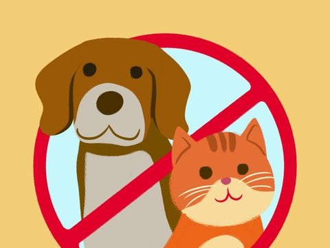 MOBILHOME 6 personnes - Mobil-home Premium 3 chambres