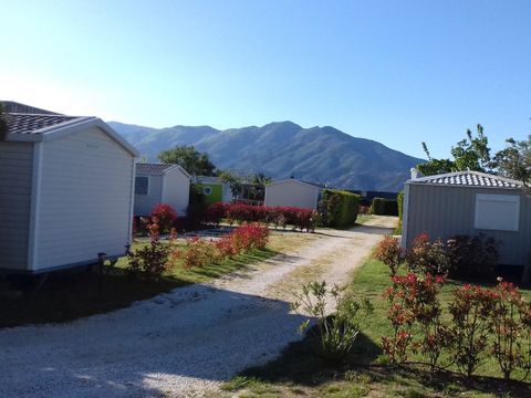 Camping Mas Llinas  - Camping Pyrénées-Orientales - Image N°15