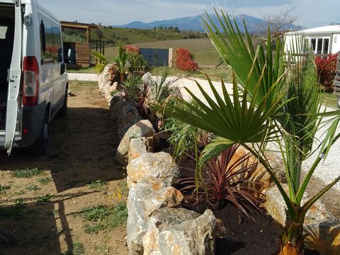 Camping Mas Llinas  - Camping Pyrénées-Orientales - Image N°49