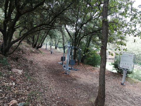 Camping Mas Llinas  - Camping Pyrénées-Orientales - Image N°20