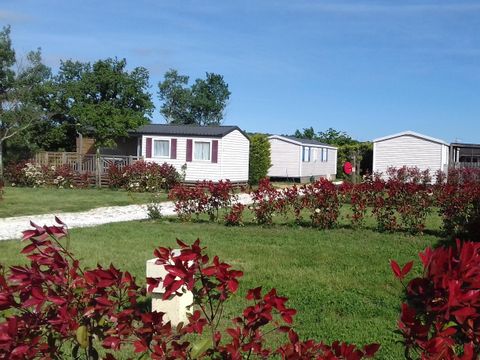 Camping Mas Llinas  - Camping Pyrénées-Orientales - Image N°23