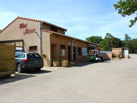 Camping Mas Llinas  - Camping Pyrénées-Orientales - Image N°13