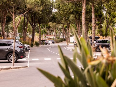 Pirates World Village-club Les Sables d'Or - Camping Hérault - Image N°82