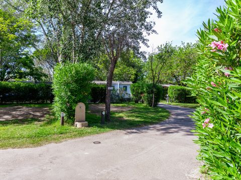 Emplacement - Emplacement nature pour tente/caravane/camping-car avec électricité 10A