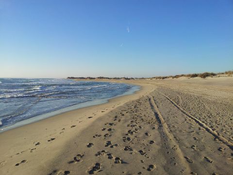 Camping Abri de Camargue - Camping Gard - Image N°41