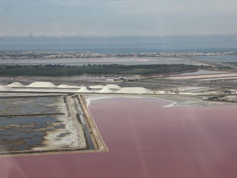 Camping Abri de Camargue - Camping Gard - Image N°86