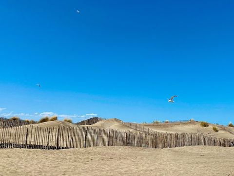 Camping Abri de Camargue - Camping Gard - Image N°101