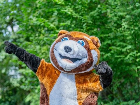 Camping Le Lac des Vieilles Forges - Camping Ardennes - Image N°9