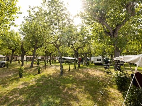 Camping Classe - Camping Ravenne