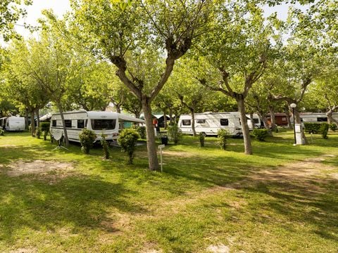 Camping Classe - Camping Ravenne