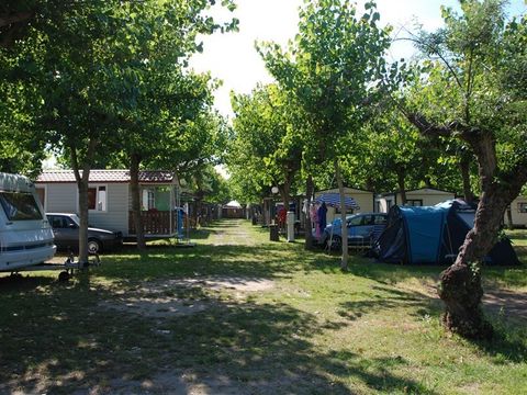 Camping Classe - Camping Ravenne - Image N°45