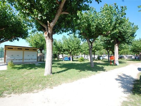 Camping Classe - Camping Ravenne - Image N°51