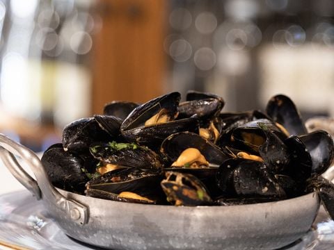 Camping Classe - Camping Ravenne