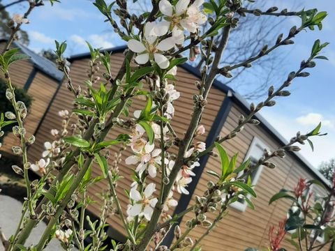 MOBILHOME 5 personnes - LODGE GRAND CONFORT, 2 chambres (samedi/samedi)