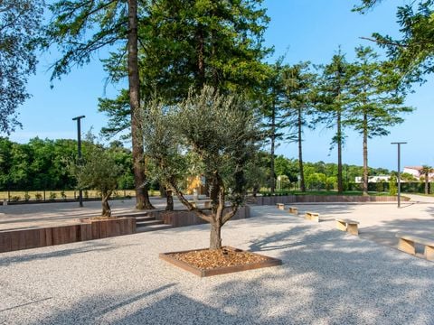 Camping Club Les Brunelles 5*- MS VACANCES - Camping Vendée