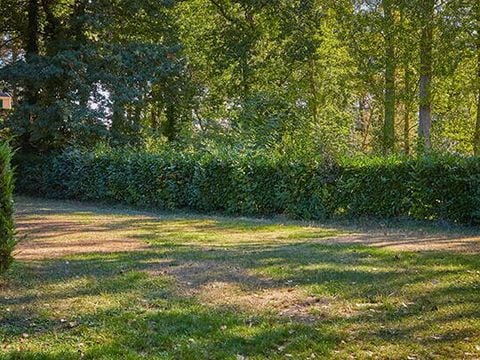 Emplacement - Emplacement | Comfort | Tente | Véhicule -7m | <100m² | Electricité | Pas d'eau