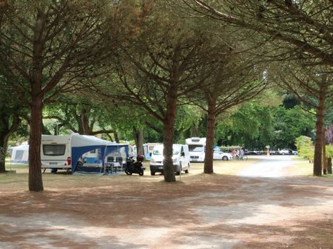 Camping Les 3 Coups - Camping Charente-Maritime - Image N°4