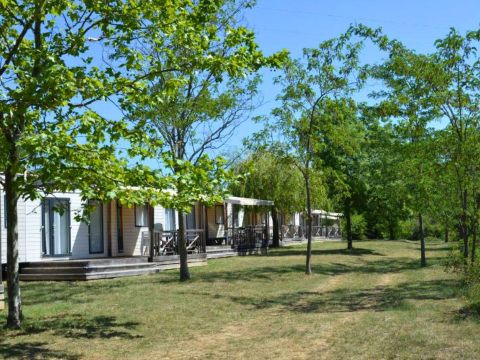 Camping Ludo Parc Pausado - Camping Ardèche - Image N°14
