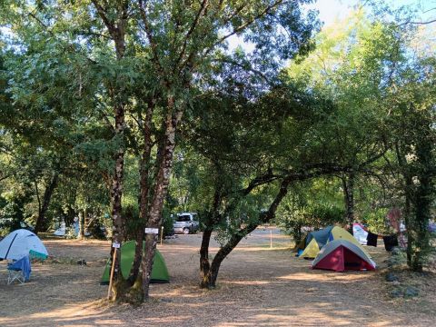 Camping Ludo Parc Pausado - Camping Ardèche - Image N°28