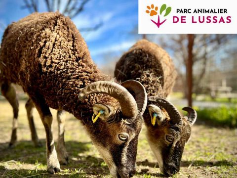 Camping Ludo Parc Pausado - Camping Ardèche - Image N°26