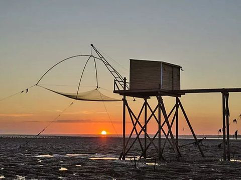 Camping Les Brillas - Camping Loire-Atlantique - Image N°51