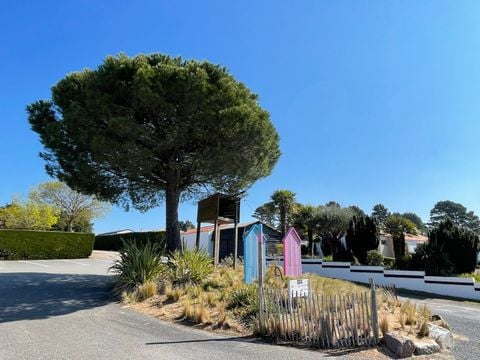 Camping Les Brillas - Camping Loire-Atlantique - Image N°42