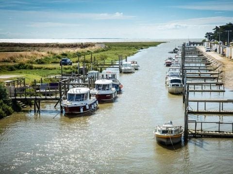 Camping Les Brillas - Camping Loire-Atlantique - Image N°52