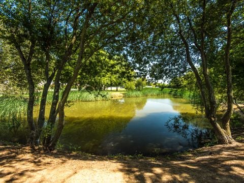 Camping Club Le Trianon - Camping Vendée - Image N°34