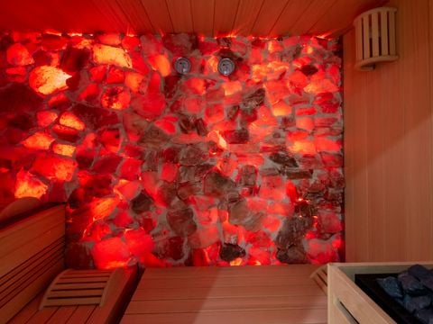 Camping Club Le Trianon 5* - MS VACANCES - Camping Vendée