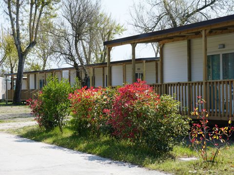 MOBILHOME 5 personnes - Lodge Superior Dog