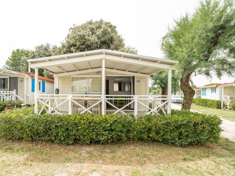 LODGE 4 personnes - Lodge Comfort Maxi Animali non Ammessi