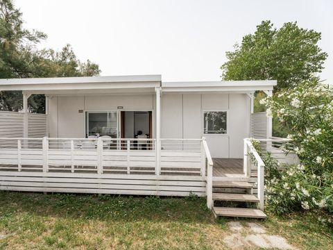 LODGE 4 personnes - Lodge Deluxe Family Beach Animaux pas Admis