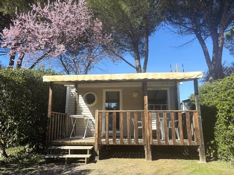 MOBILHOME 2 personnes - Confort 18m² 1 chambre + terrasse couverte + climatisation + TV