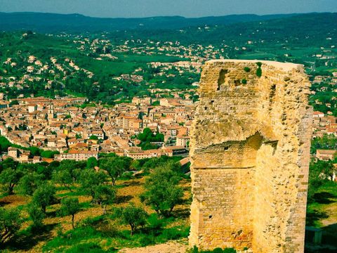 Flower Camping Provence Vallée - Camping Alpes-de-Haute-Provence - Image N°31