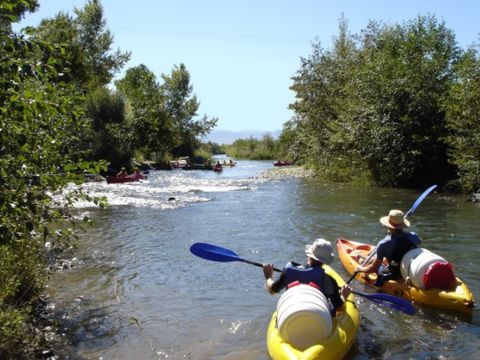 Camping Flower Provence Vallée - Camping Alpes-de-Haute-Provence - Image N°40