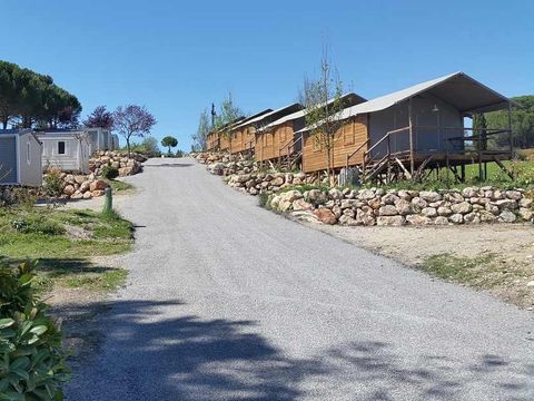Camping Flower Provence Vallée - Camping Alpes-de-Haute-Provence - Image N°43