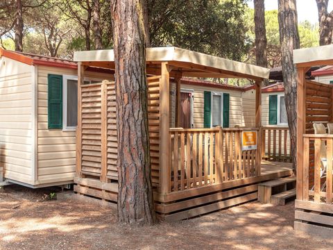 Camping Mare e Pineta - Camping Ferrara - Image N°0