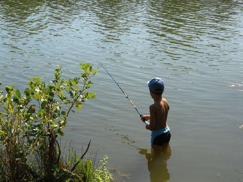 Camping Le Lac des Varennes - Camping Sarthe