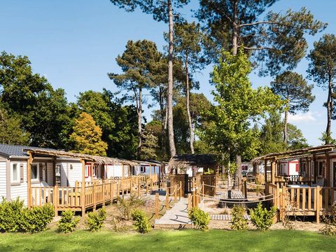 Camping Le Soleil des Landes - Camping Landes - Image N°38