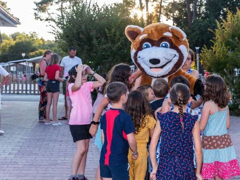 Camping Le Soleil des Landes - Camping Landes