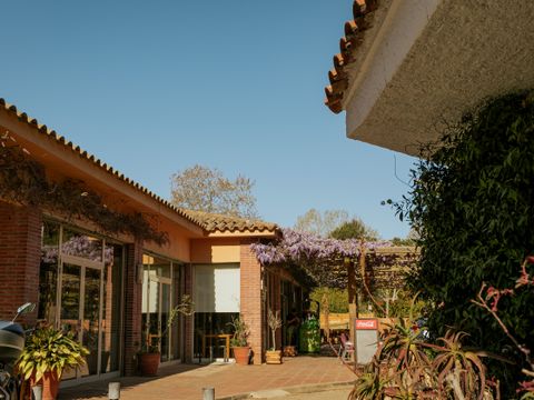 Camping Santa Elena Ciutat - Camping Gérone - Image N°41