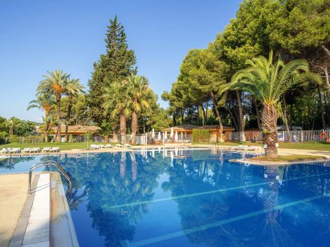 Camping Santa Elena Ciutat - Camping Gérone - Image N°8