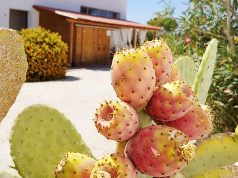 APPARTEMENT 2 personnes - Appartement 2 personnes