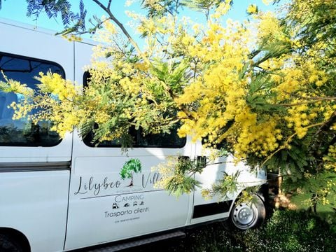 Lilybeo Village - Camping & Residence - Camping Trapani - Image N°33