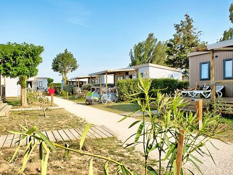 Flower Camping Les Ilates - Camping Charente-Maritime - Image N°21